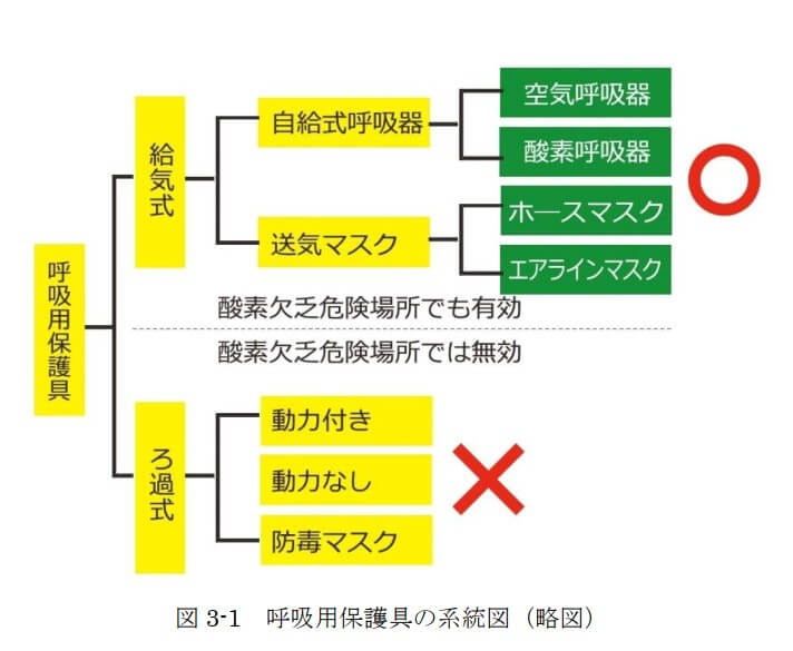 図2-1　肺の構造、肺胞、肺毛細血管